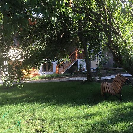 Guest House Kartuli Suli Telavi Dış mekan fotoğraf